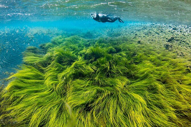Double Snorkeling Adventure near Húsavík in North Iceland - Key highlights worth marking