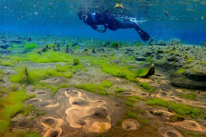 Double Snorkeling Adventure near Húsavík in North Iceland - How the day flows: a 6-hour combo that fits North Iceland