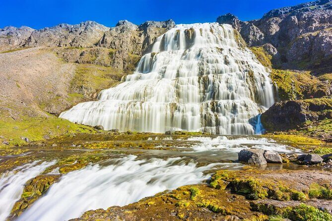 Dynjandi Waterfall & Iceland Farm Visit Tour - Guides and group vibe: why the storytelling matters here