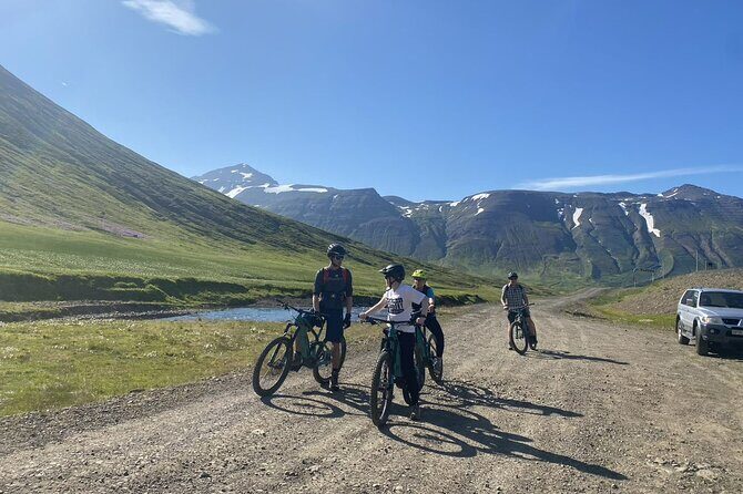 Electric Mountain biking tour in North Iceland - Price and Value: Is $204.26 Worth It?