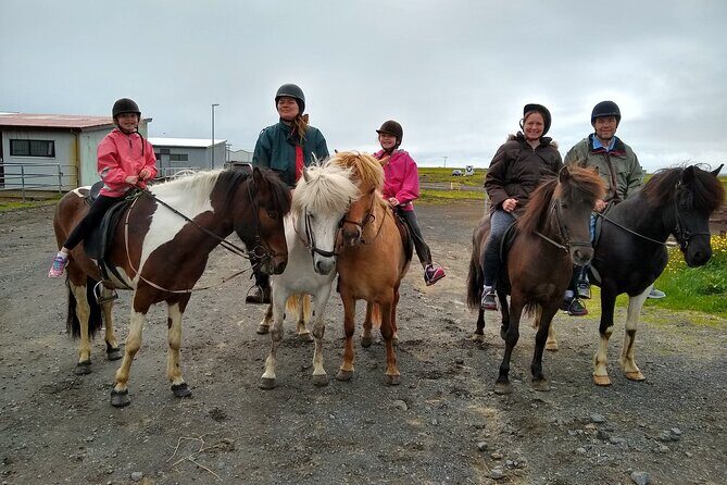 Experience Countryside of Iceland by Horseback Riding - The “All Levels” Promise: What It Actually Means On Horseback