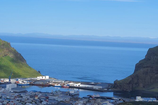 Eyjascooter Puffin Tour in Iceland - Price and value: is $156.19 a good deal?