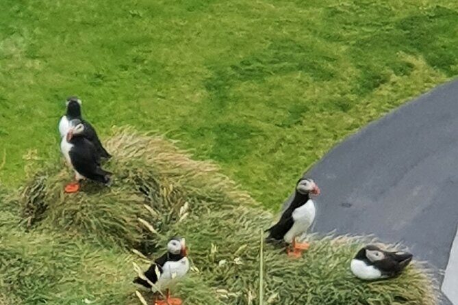Eyjascooter Puffin Tour in Iceland - Getting started at Skildingavegur 16 and learning your scooter