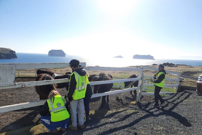 Eyjascooter volcano tour in Westman Island - Electric scooters on Heimaey: what the ride feels like
