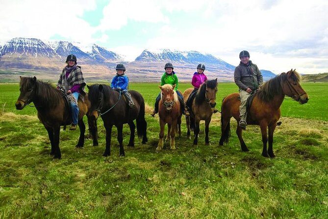 Family Friendly Horse Riding Tour in Skagafjörður - Key Takeaways Before You Saddle Up