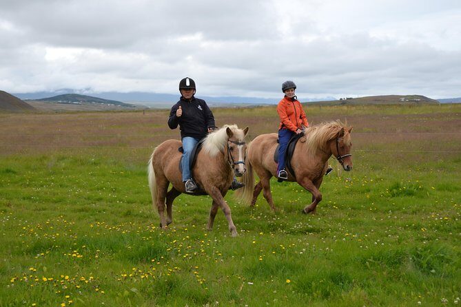 Family Friendly Horse Riding Tour in Skagafjörður - First Steps at Hestasport Reception in Varmahlíð