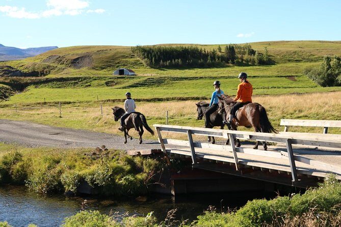 Family Friendly Horse Riding Tour in Skagafjörður - Family-Friendly by Design: Suitable for Any Level
