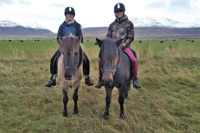 Family Friendly Horse Riding Tour in Skagafjörður - What Makes Skagafjörður Work So Well from a Horse’s Back