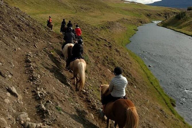 Family Friendly Horse Riding Tour in Skagafjörður - Price and Value: $90.05 for an Hour That Includes the Essentials