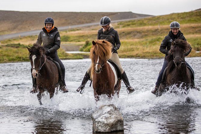 Family Friendly Horse Riding Tour in Skagafjörður - Why the Small Group (Up to 8) Makes a Real Difference