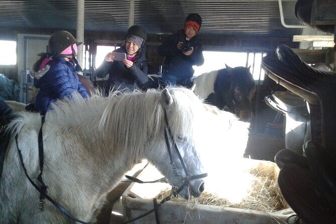 Family Horse Riding Tour in Thorlakshofn - Key Things That Make This Tour Worth Considering