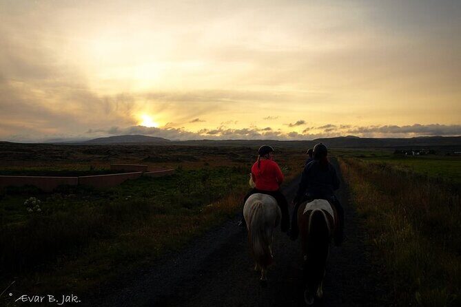 Family Horse Riding Tour in Thorlakshofn - Duration Reality Check: About 2 Hours vs a Longer Riding Window