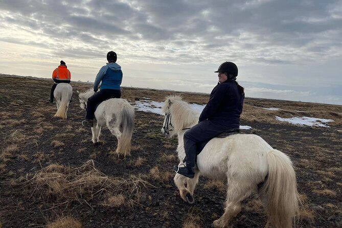 Family Horse Riding Tour in Thorlakshofn - Meeting the Horses: Icelandic Horse Style and What You’ll Learn