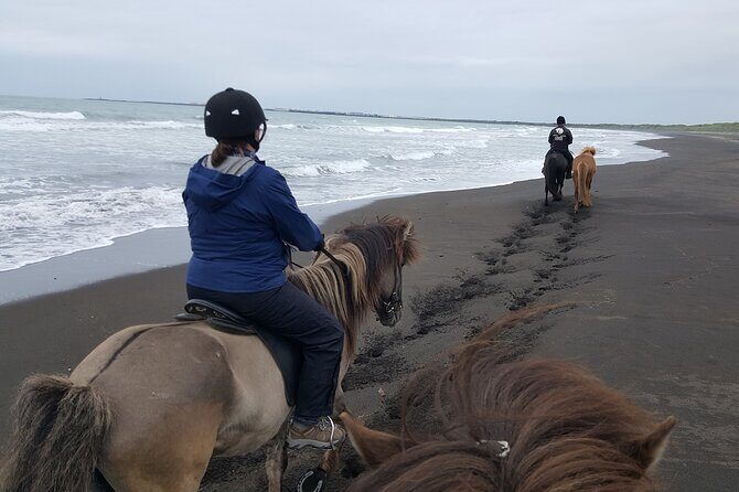 Family Horse Riding Tour in Thorlakshofn - Riding to Krýsuvík: Lava Fields, Steam, and Big Sea Air