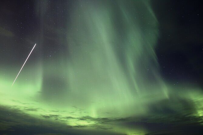 Forest Lagoon and Northern Lights Guided Night Tour - Key highlights you’ll feel right away