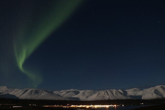 Forest Lagoon and Northern Lights Guided Night Tour - The guide is the real product: what Sigi’s style shows