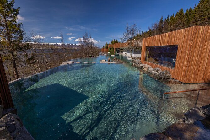 Forest Lagoon and Northern Lights Guided Night Tour - Quick decision guide: book or pass?