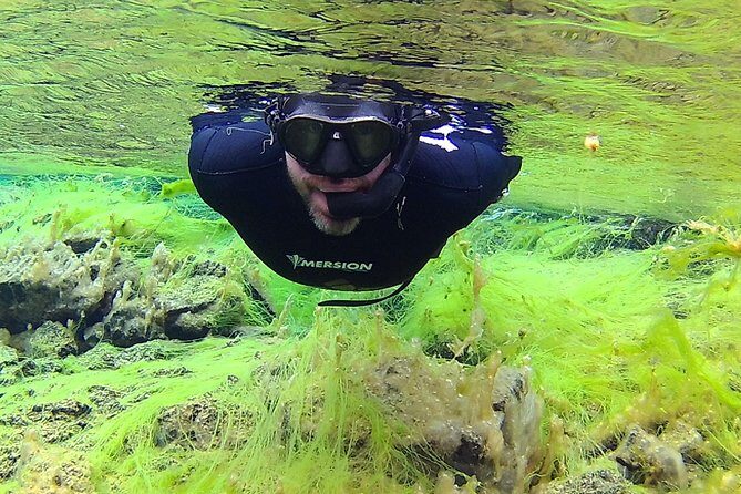 Freedive Silfra Half Day Tour - Warm up afterward: cocoa, gear removal, and leaving Silfra without stress
