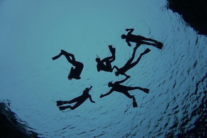 Freedive Silfra Half Day Tour - Price and value: what you’re paying for at about $233.50