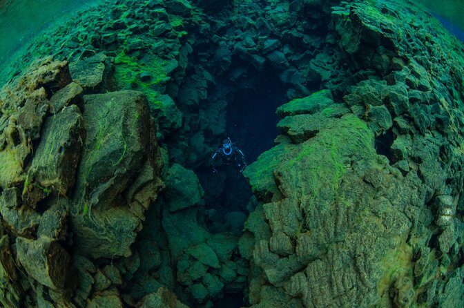 Freedive Silfra Half Day Tour - Getting the most out of your 4-hour slot