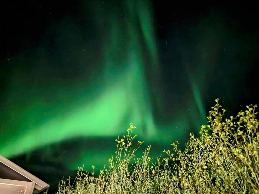 From Akureyri: Northern Lights Tour - Guides Matter: Ingi, Lilija, and Graham as Real Examples