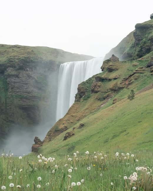 From Reykjavík: 6-Day Around Iceland Ring Road Tour - Day 5: Whale Watching, Viking-Era History, and Sea Cliffs That Feel Alive