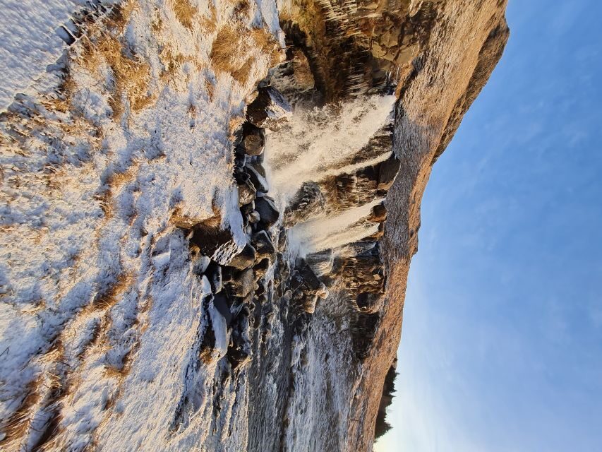 From Reykjavik: Explore the Waterfalls of the South Coast - Lunch break and regrouping on the south coast