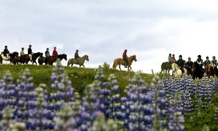 From Reykjavík: Full-day Golden Circle & Horse Riding Tour - Gullfoss: Glacial Waterfall Power at Close Range