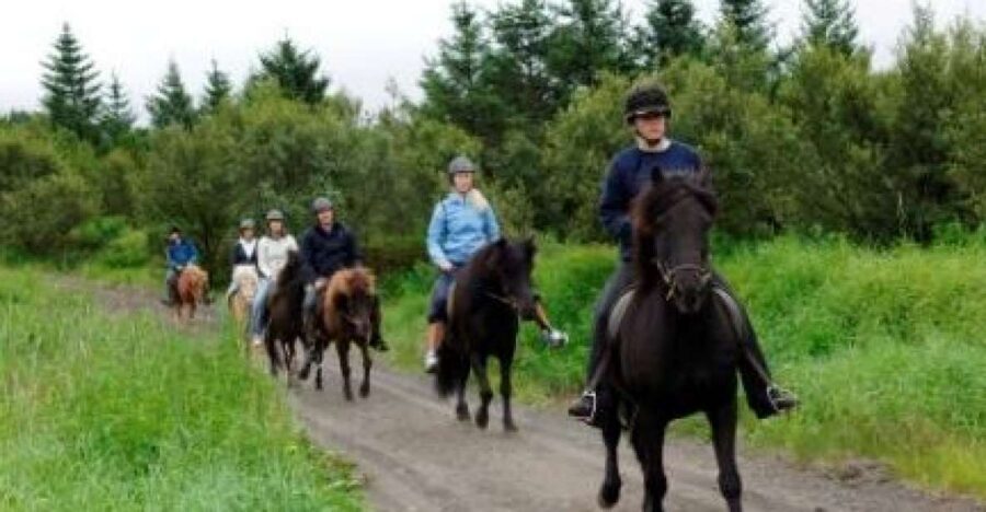 From Reykjavik: Full-Day Horse Riding & Golden Circle Tour - The vibe: countryside first, then the Golden Circle classics