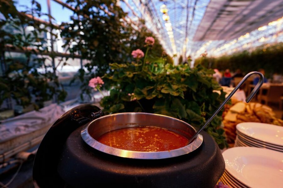 From Reykjavik: Golden Circle, Friðheimar, & Sky Lagoon Tour - Friðheimar Tomato Farm: greenhouse lunch that actually feels like a stop