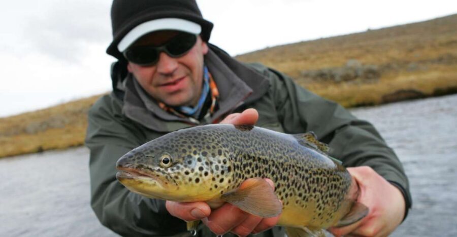 From Reykjavik: Lake and River Fishing Tour - Key points at a glance