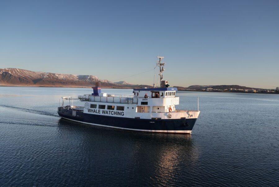 From Reykjavik: New Years Fireworks by Boat - Key things to know before you go