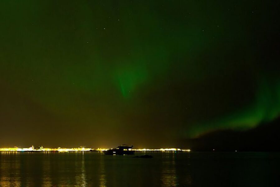From Reykjavik: New Years Fireworks by Boat - Guides and group vibe: how the night stays smooth