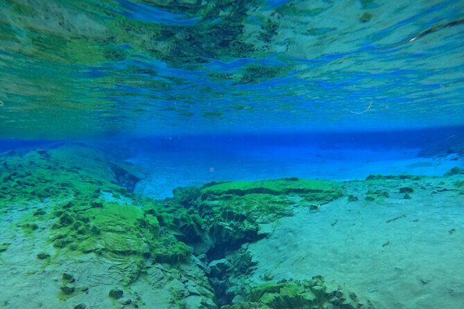 From Reykjavik- Silfra Snorkeling transfer included - Value for Money: What’s Included (and What You Still Need to Plan)