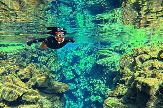 From Reykjavik- Silfra Snorkeling transfer included - Who Should Book This Silfra Trip (and Who Should Skip It)