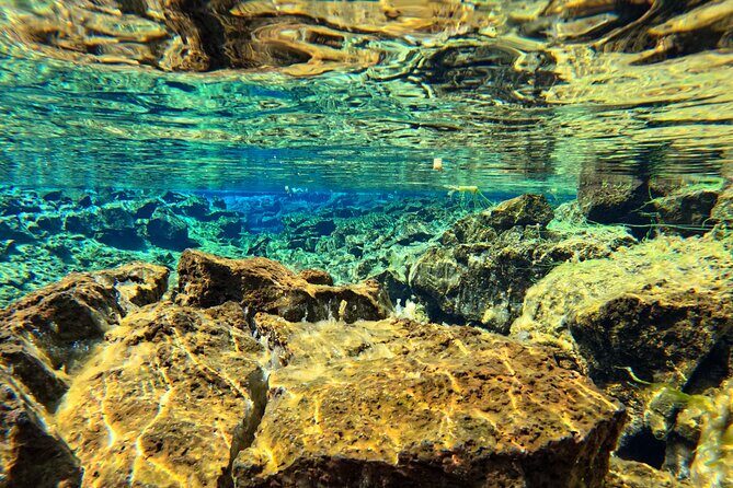 From Reykjavik- Silfra Snorkeling transfer included - Tips to Make Your Morning Smooth