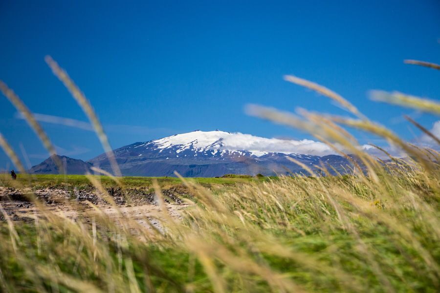 From Reykjavik: Snaefellsnes National Park - Small Group - Ytri Tunga: the coast stop with wildlife potential
