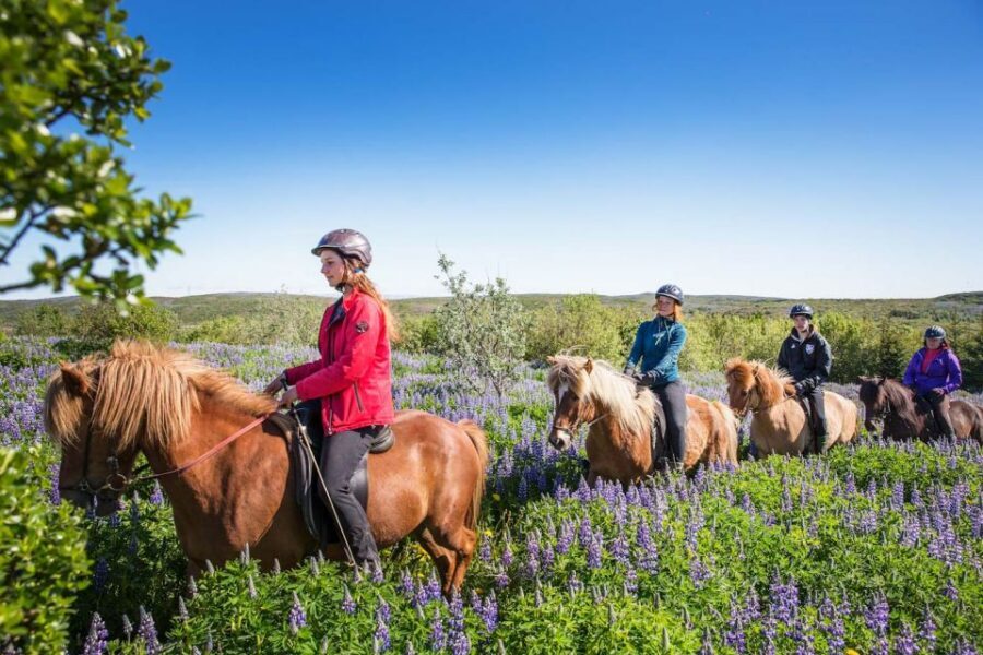 From Reykjavík: Viking Horseback Tour in Hafnarfjörður - Should you book the Viking Horseback Tour in Hafnarfjörður?