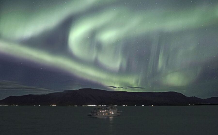 From Reykjavik: Whales and Northern Lights Boat Tour - The evening switch: Northern Lights from the water, not just from shore