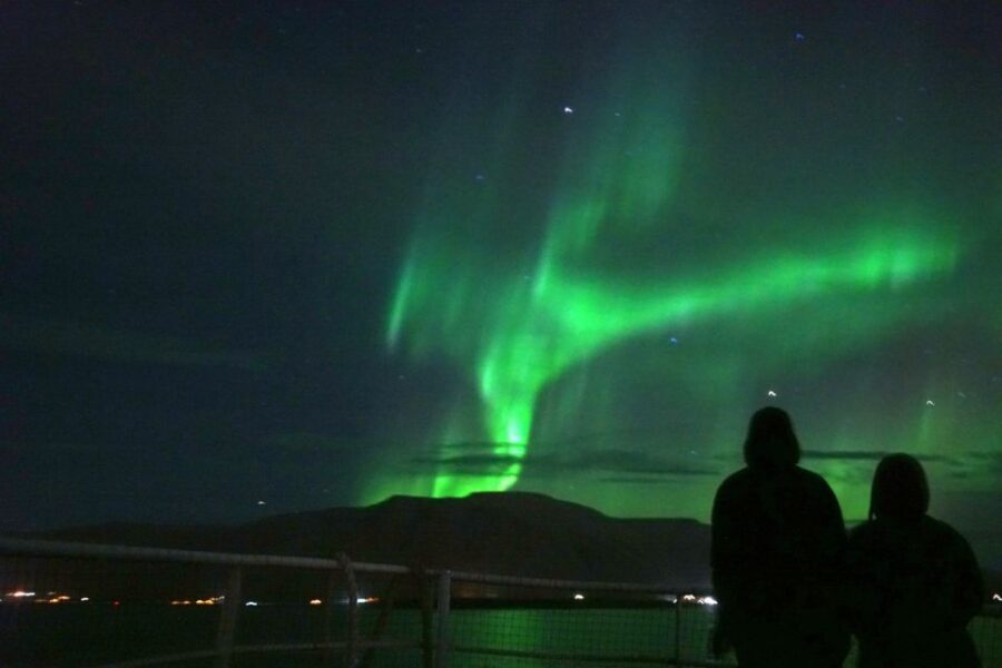 From Reykjavik: Whales and Northern Lights Boat Tour - Should you book the Whales and Northern Lights Boat Tour?