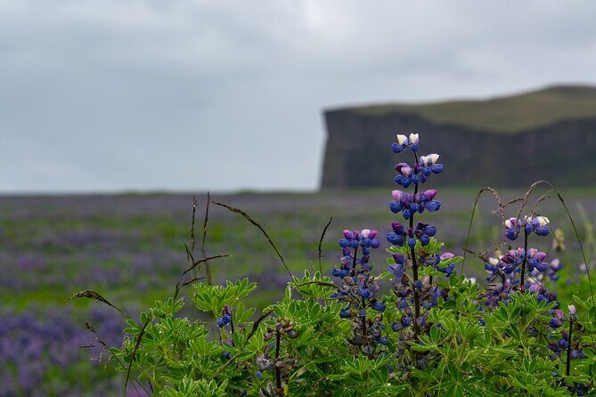 Full-Day Private Tour to Explore South Coast of Iceland - Key Points You’ll Feel in Real Life