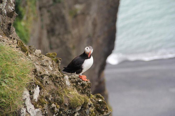 Glacier Lagoon, Diamond Beach, Black Sand Beaches and Waterfalls - Fellsfjara and Diamond Beach: the ice-to-black-sand contrast