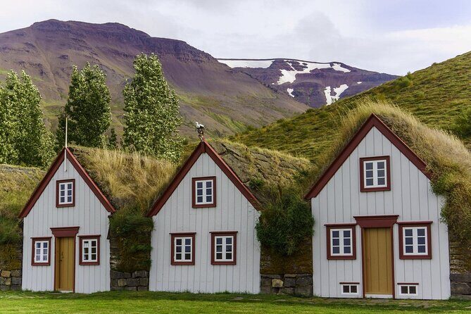 Godafoss Waterfall & Turf House Half-Day Tour from Akureyri Port - Key highlights worth planning for