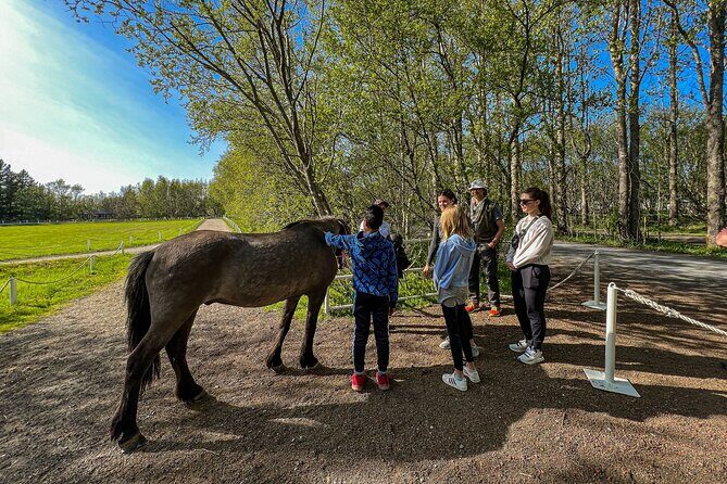 Golden Circle and Lunch at Fridheimar Tomato Farm - with photos - Guide Grétar and the photo-and-info rhythm