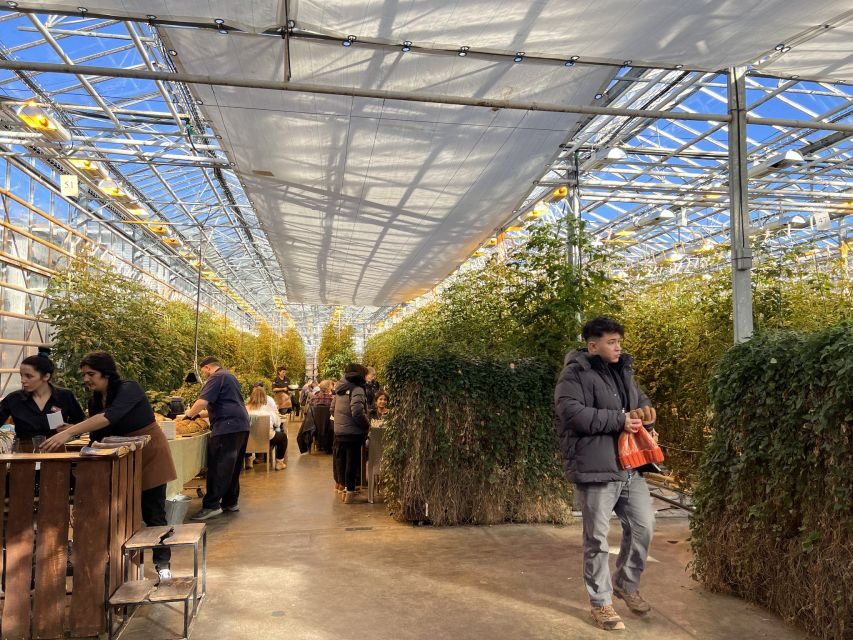 Golden circle, hot spring bakery, tomato farm private tour - How the pacing works across the full 7 hours