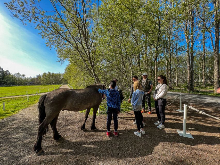 Golden Circle & Lunch at Fridheimar Tomato Farm- with photos - What to bring on Golden Circle day (so you don’t suffer quietly)