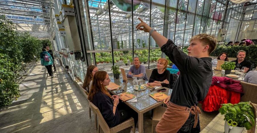 Golden Circle & Lunch at Fridheimar Tomato Farm- with photos - What the included guide does (and why it matters on a 1-day loop)