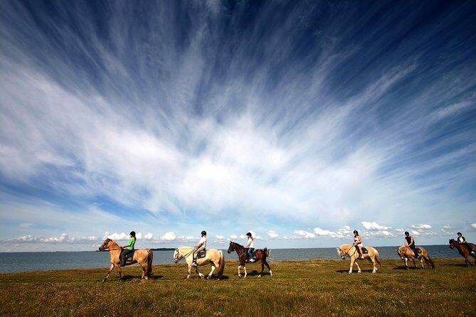 Golden Circle & Viking Horse Experience - Geysir Hot Springs: The Erupting Moment You Actually Came For