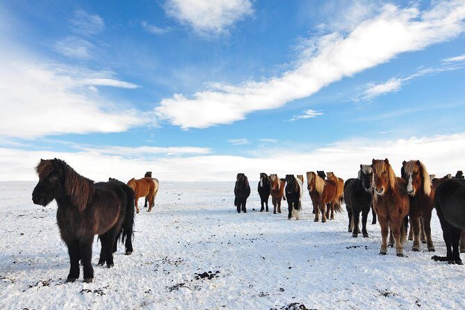 Golden Circle & Viking Horse Experience - Gullfoss Waterfall: What Makes It Worth the Time