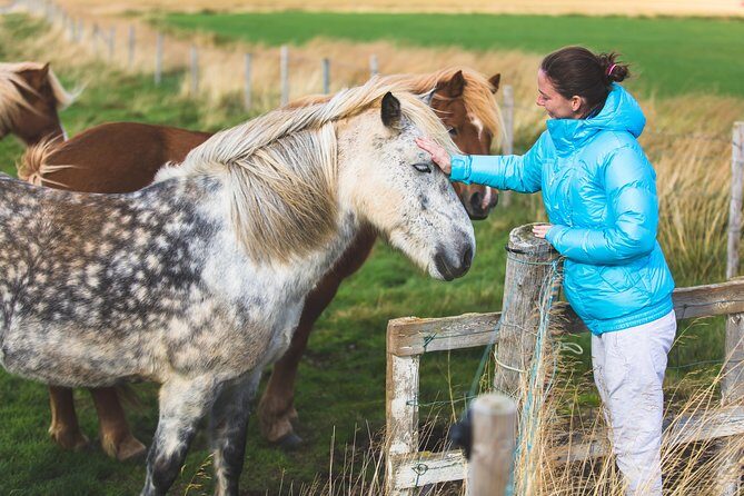 Golden Circle & Viking Horse Experience - Horseback Riding on Icelandic Horses: Gentler Than You’d Think